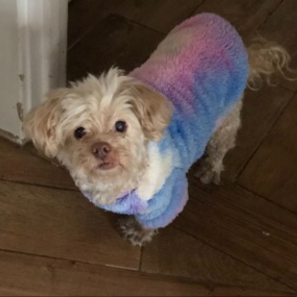 Petsin Fuzzy Pastel Jumper size Large - Picture 5 of 8